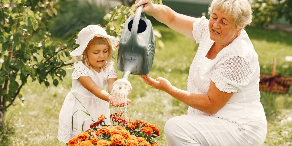 Vnučka s babičkou zalévá květiny.